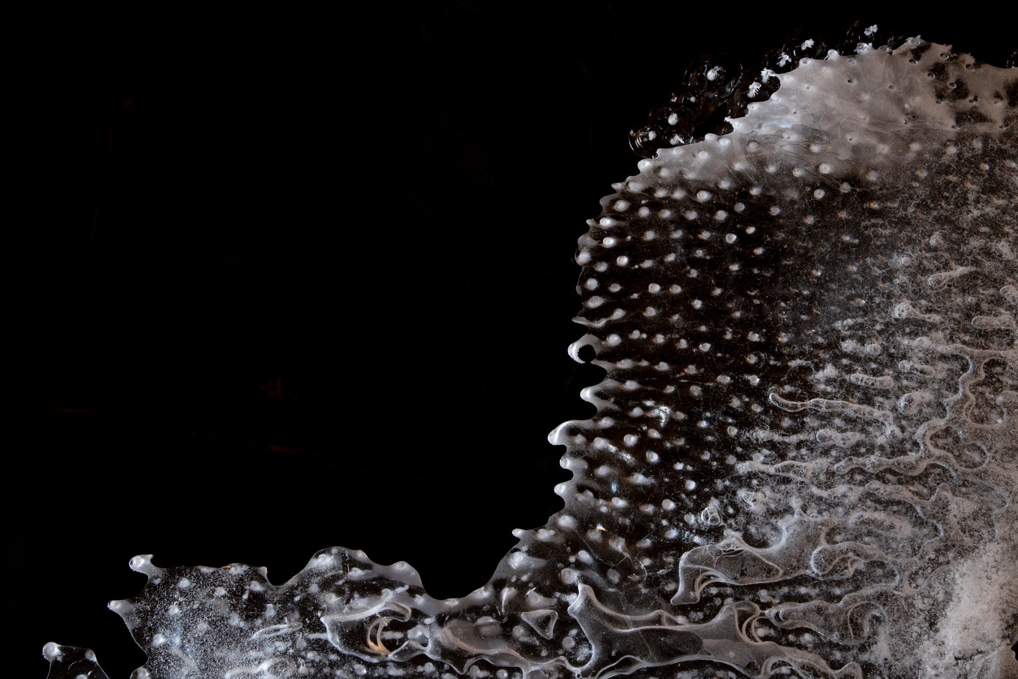 5f7ef64e-be18-4cf2-9e9e-a2835bcab1b1 2 5f7ef64e-be18-4cf2-9e9e-a2835bcab1b1 2