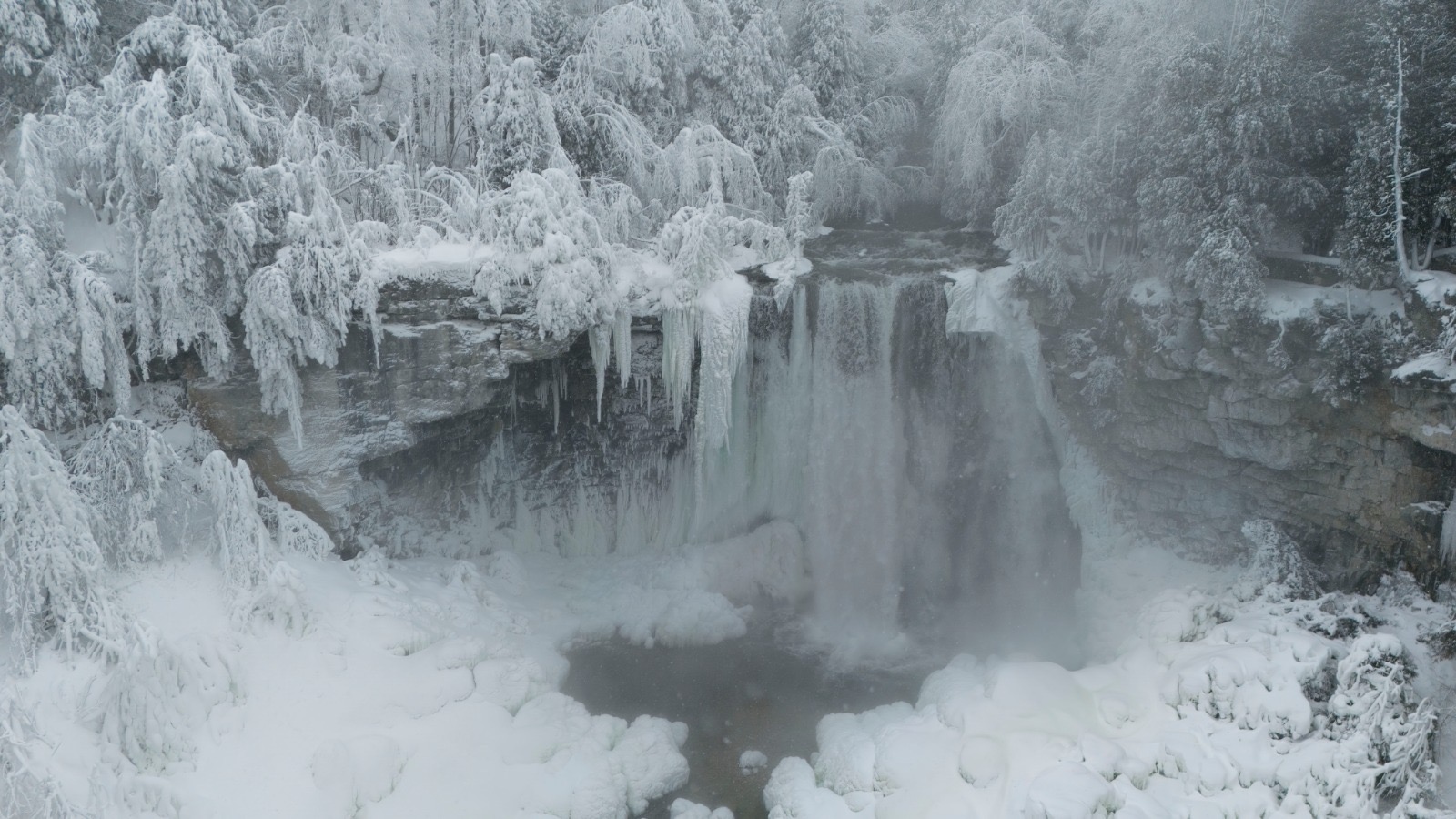 67741391-68d9-48e8-97ab-a0a592179eb1