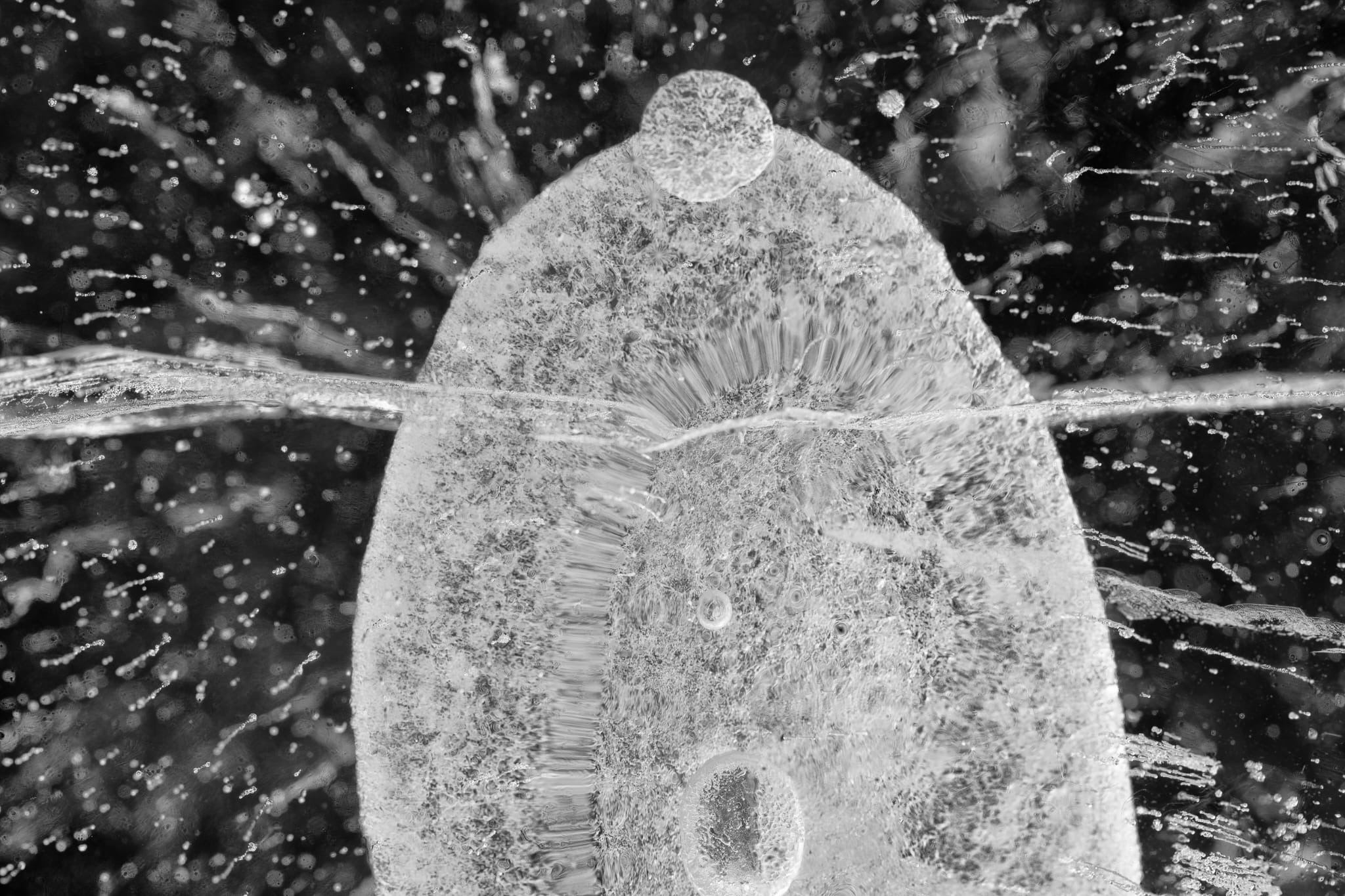 855e7bbe-b192-4d80-8732-931d0500b251 2 855e7bbe-b192-4d80-8732-931d0500b251 2