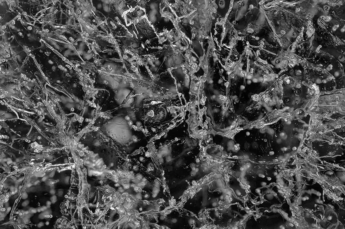 Screenshot 2026-03-29 at 7.42.00 PM