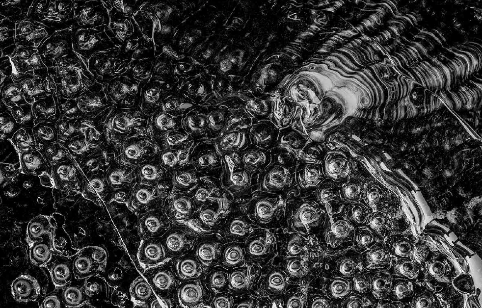 Screenshot 2026-03-30 at 12.38.59 AM