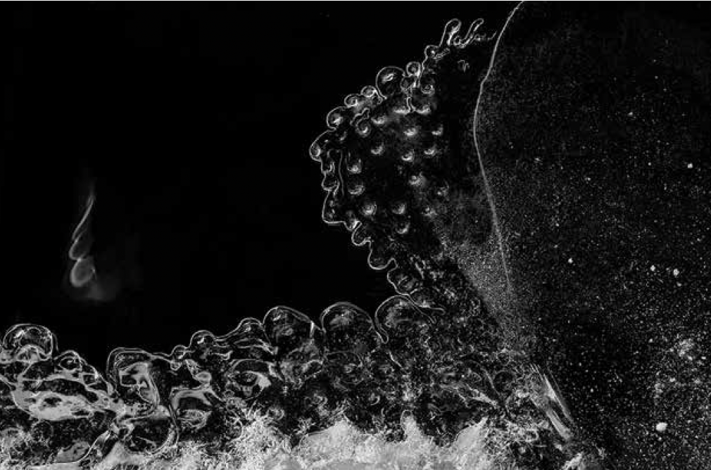 Screenshot 2026-03-30 at 12.46.19 AM