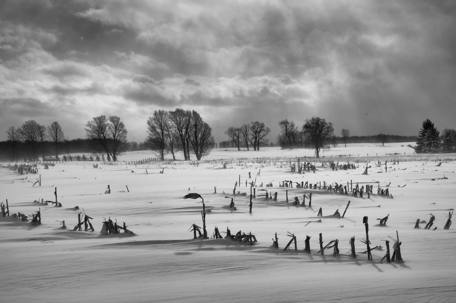 bed52ddf-a0f7-4c34-bf24-adba2139ca57