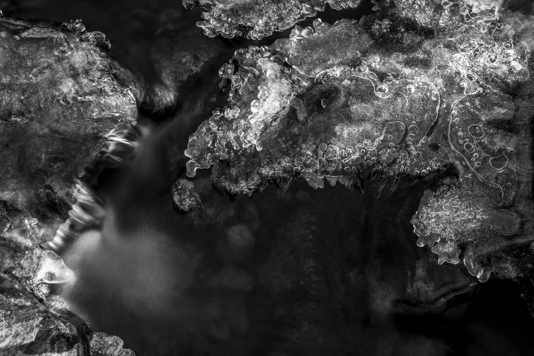 cbbe30eb-5c81-42f9-86b1-a5d88392d05d 3 cbbe30eb-5c81-42f9-86b1-a5d88392d05d 3