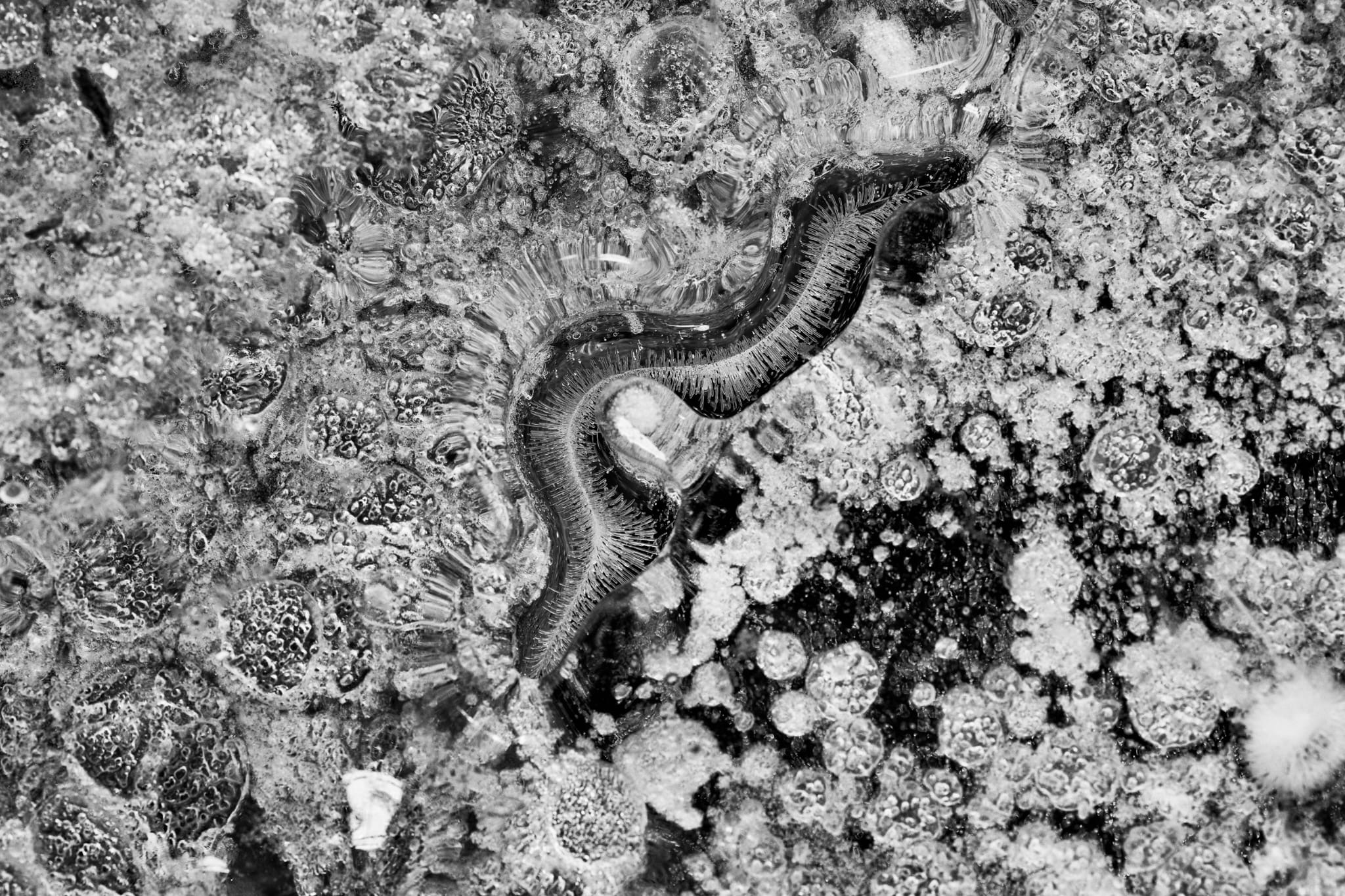 e2e6d9a8-8a7d-4b68-9bd3-51f255f7cdcc 3 e2e6d9a8-8a7d-4b68-9bd3-51f255f7cdcc 3