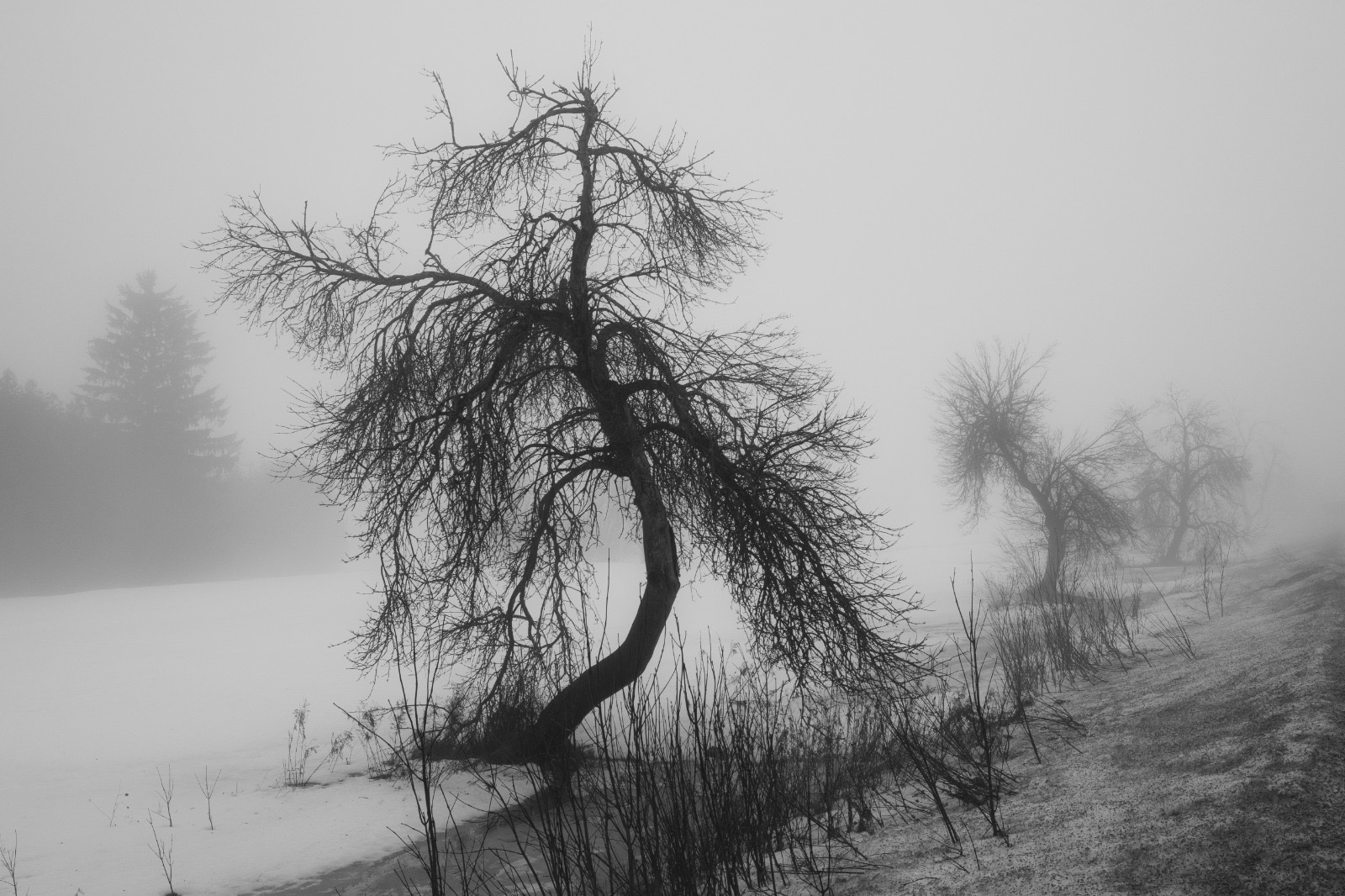 eb31a948-1e5f-4476-b2ea-6cc431aac78e