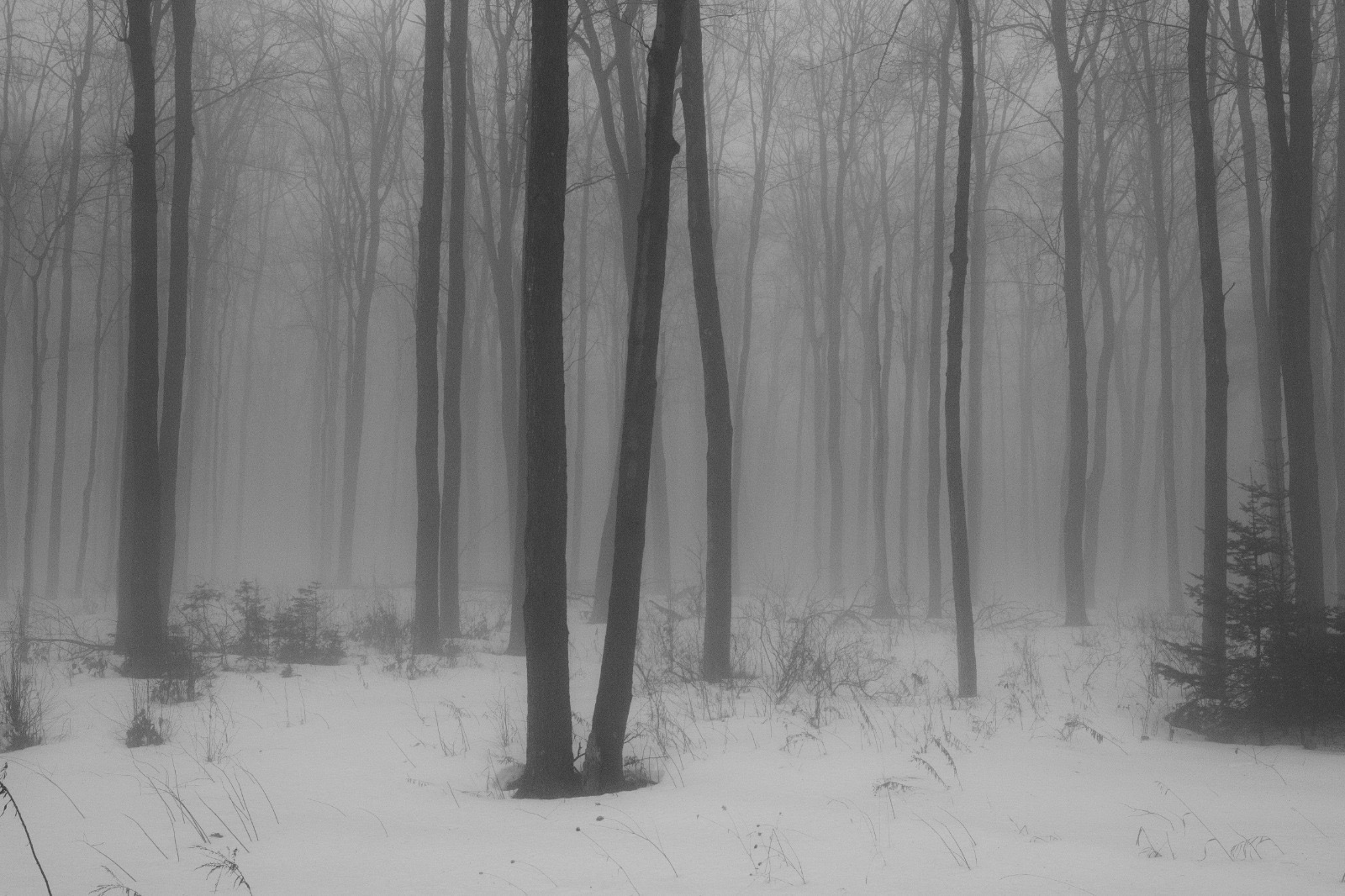 eff95a96-422f-494d-b0a7-29a092ff4c6a